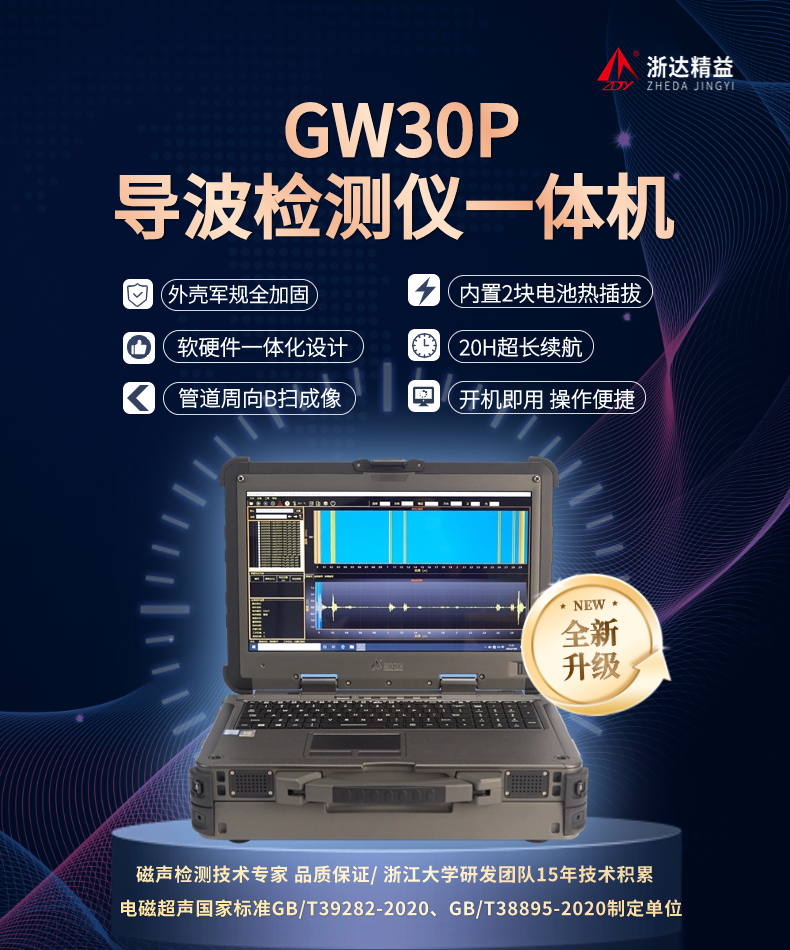 GW30P导波检测一体机(图1)