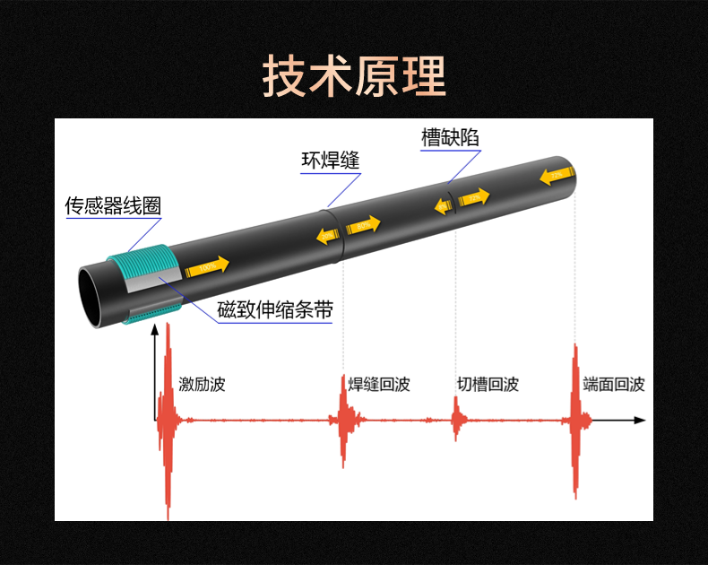 GW30P导波检测一体机(图2)