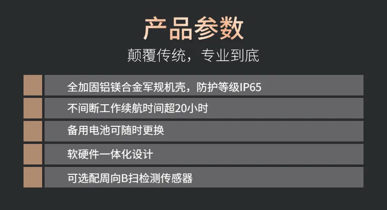 GW30P导波检测一体机(图4)